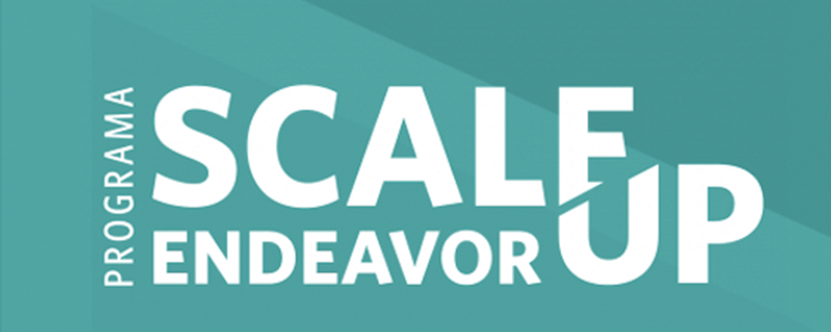 scale-up-movidesk