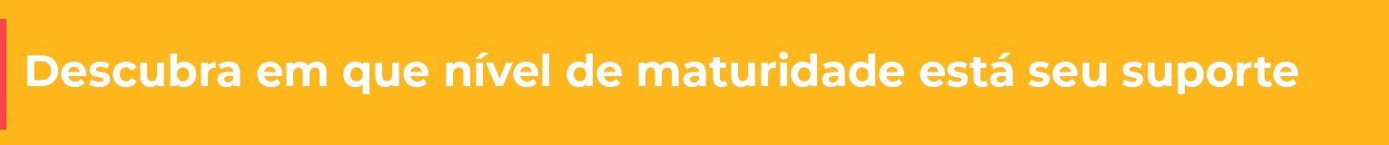 Descubra em que nível de maturidade está seu suporte